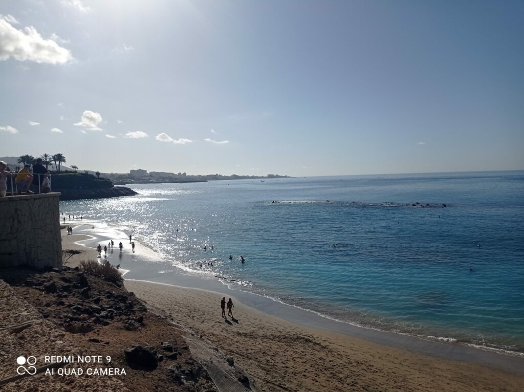 tenerife fan explore travel planner
