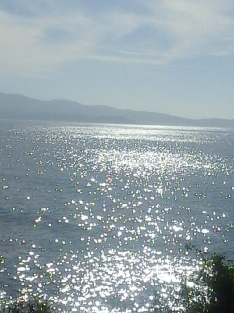 ajaccio croisière fan explore travel planner organisatrice de voyages