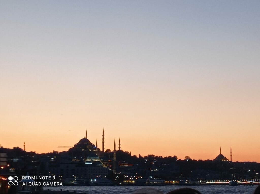 CROISIERE SUR LE BOSPHORE ISTANBUL
