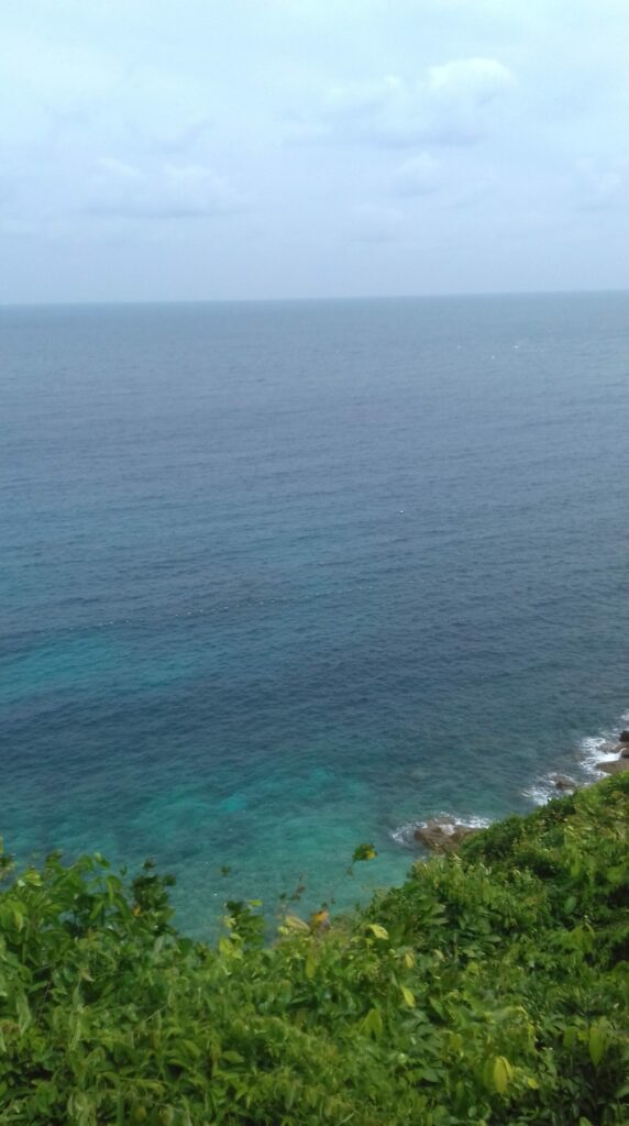 SHARK BAY